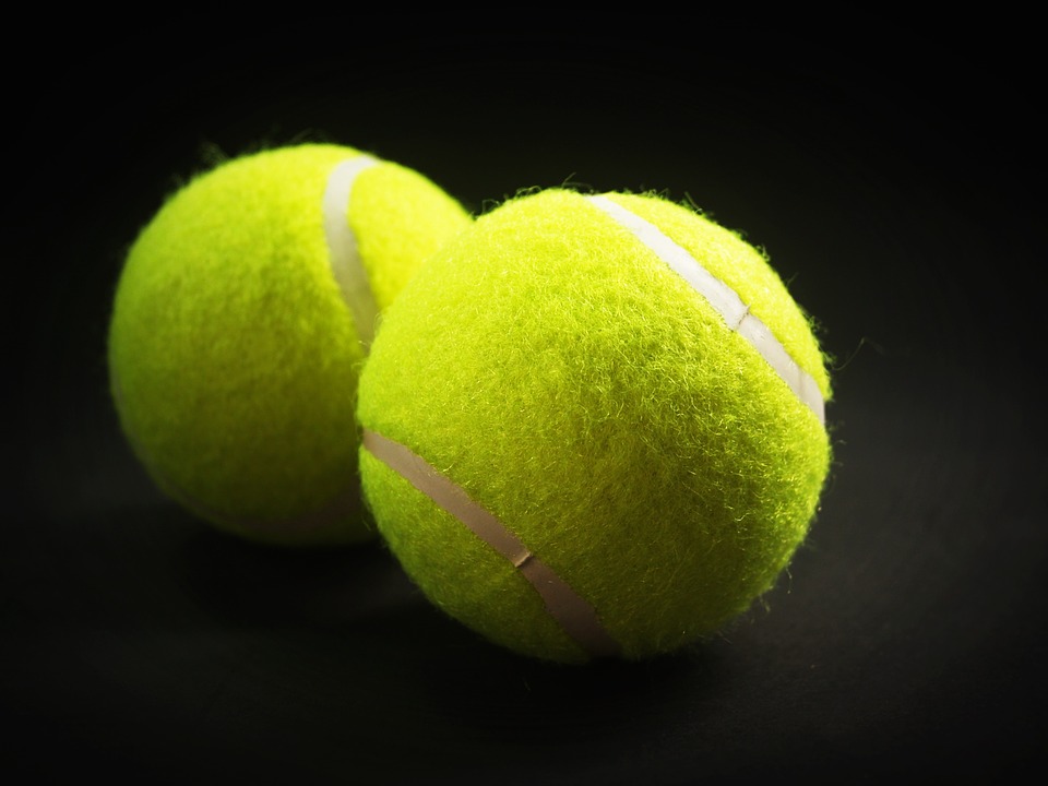 Les programmes d'entraînement des champions français